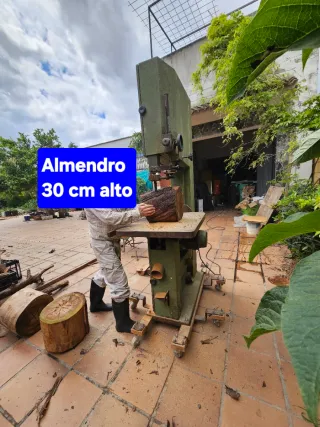 Sierra de cinta con volante de 60 cm