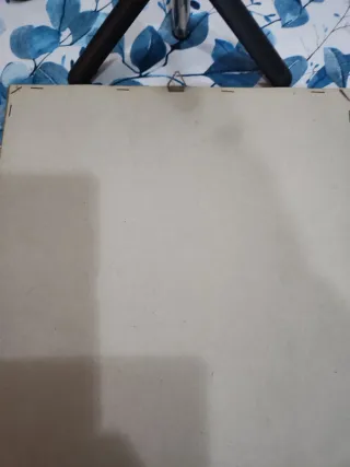 Quadro donna con cornice