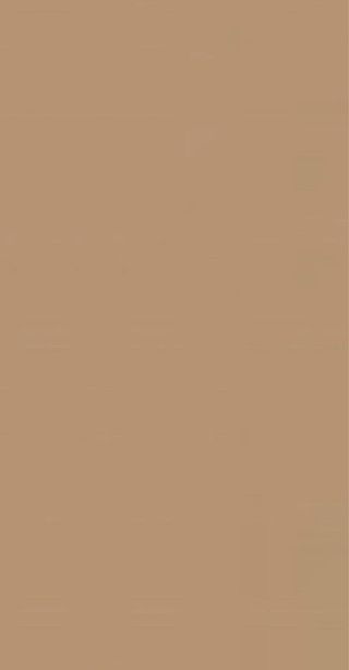 YSL All Hours Foundation Stick BD50 Warm Honey