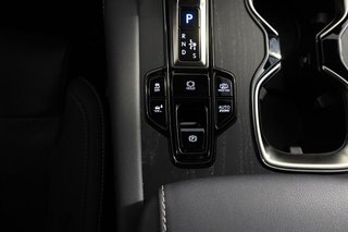 Lexus RX 450h Luxury 309cv