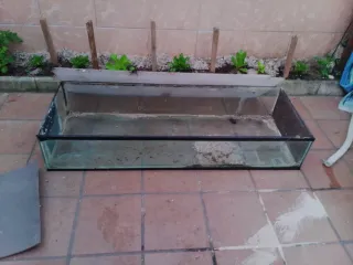 Terrario de cristal gratis