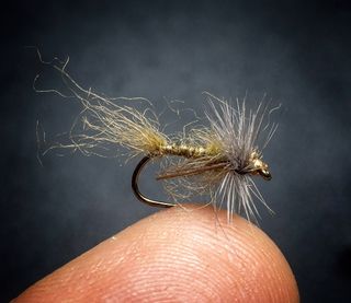 MOSCAS PARA LA PESCA DE TRUCHAS