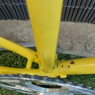 Cuadro Bicicleta Zeus Amarillo