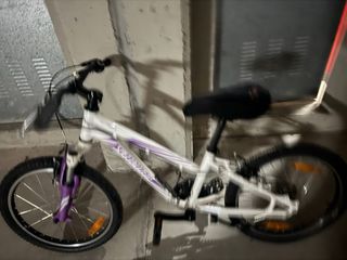 Bicicleta Niña SPECIALIZED