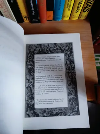 El camino de Santiago en siete villas