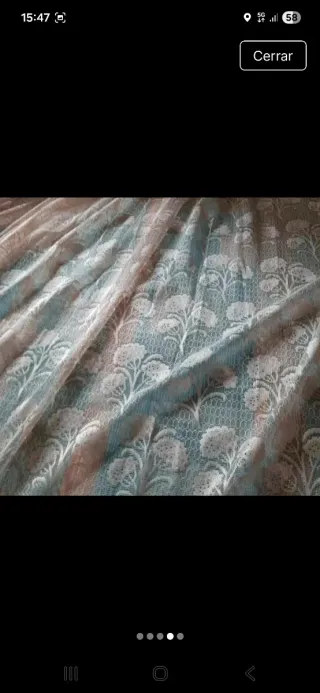 Dos Cortinas de encaje trasparente
