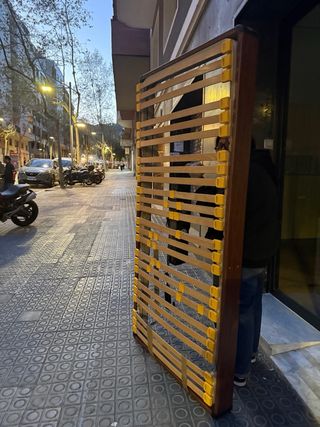 Cama eléctrica articulada