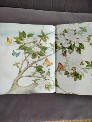 The secret world of Fairies