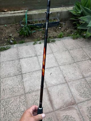 Caña de pescar Daiwa Megaforce