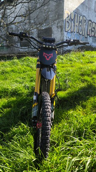 ARCTIC LEOPARD XE PRO S 2025