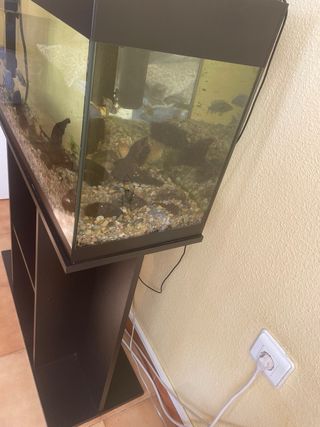 Acuario 100L con mueble