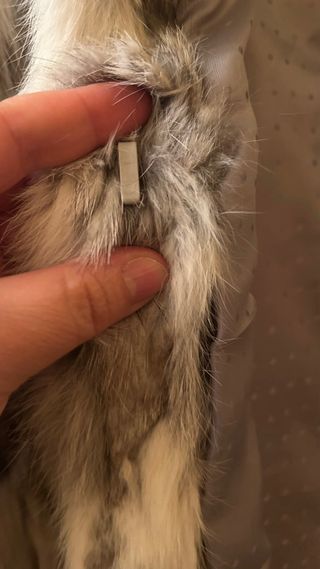 Chaquetón de piel de pelo beige y gris