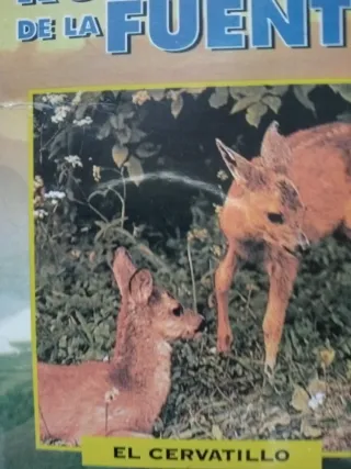 VHS El Hombre y la Tierra con precinto