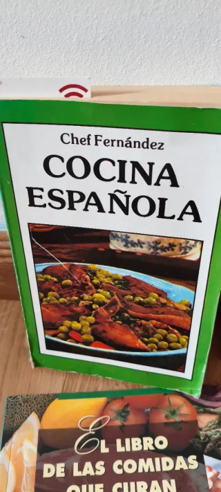 Lote de libros culinarios