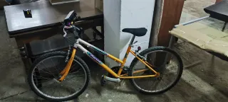 Bicicleta de montaña Trotter
