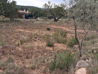 Casa rural en venta en Alcora, l´