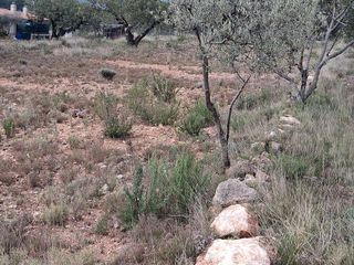 Casa rural en venta en Alcora, l´