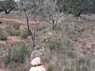 Casa rural en venta en Alcora, l´