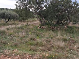 Casa rural en venta en Alcora, l´