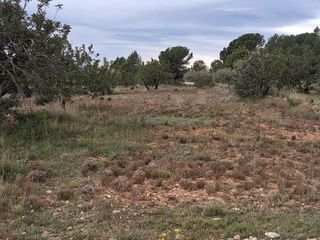 Casa rural en venta en Alcora, l´