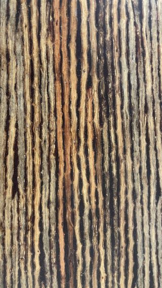 Pie de mesa moderno bambú y madera