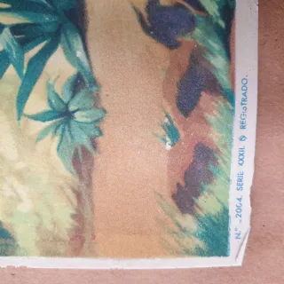 Lámina histórica Cristóbal Colón