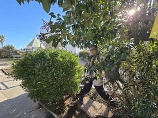 Casa en venta en Villena