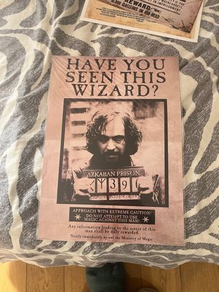 Póster Harry Potter Sirius Black ¿Has visto a este