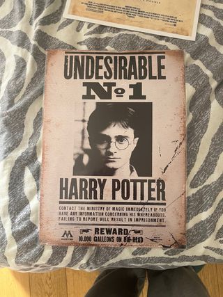 Póster Harry Potter Indeseable N.º 1