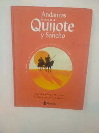Lote libros Don Quijote distintos formatos y epoca