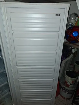 Congelador blanco.