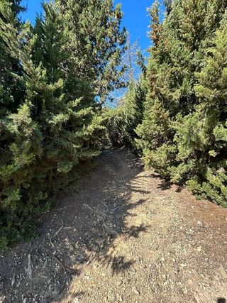 Terreno en venta en Selva del Camp, La