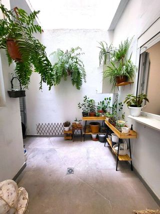 Piso en alquiler en Isleta en Palmas de Gran Canaria(Las)