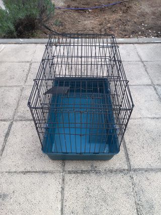 Jaula desmontable para hurones negra y verde