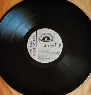 Tom Petty - It's Only Rock 'n Roll LP