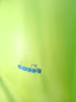 Diadora Sudadera Retro Talla XL