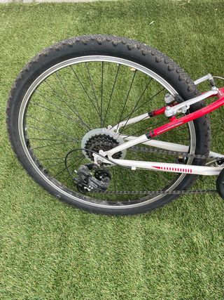 Bicicleta Infantil Roja