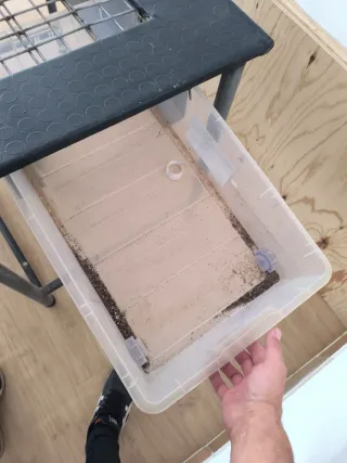 Mesa de trabajo para bonsáis