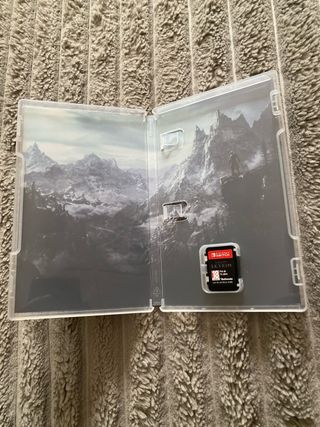 The Elder Scrolls V: Skyrim Nintendo Switch
