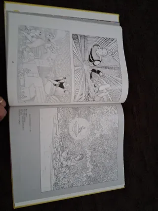 Moebius madera in Los Angeles