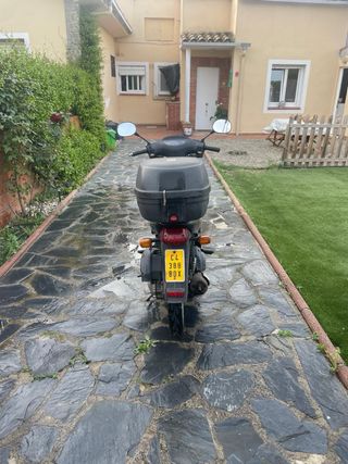 Honda Scoopy SH 49cc Scooter