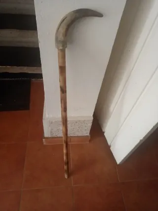 Bastón de asta natural