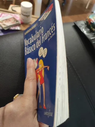 Vocabulario Basico del Frances - Frances Practi...
