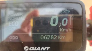 Bicicleta Eléctrica Giant