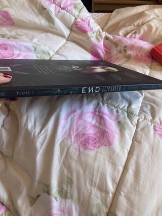 End Elisabeth