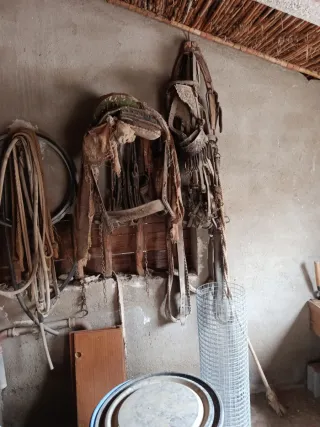 Carro antiguo de madera y aparejada conserva matrí