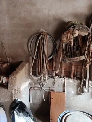Carro antiguo de madera y aparejada conserva matrí