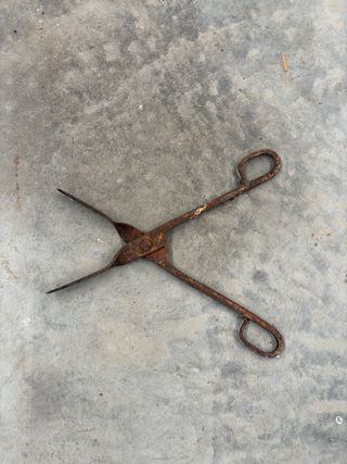 Tenaza antigua oxidada