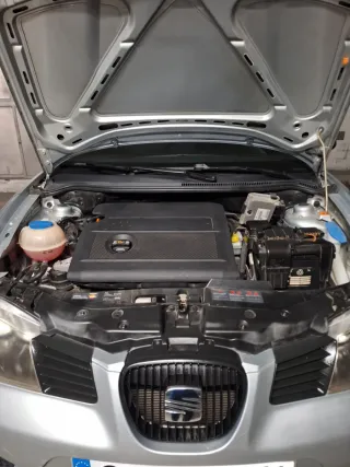SEAT Ibiza 2007