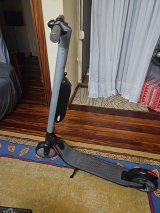 Segway Ninebot ES4 (ES2 + Batería Extra)
